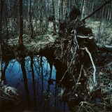 Innerst Inne - Rötter