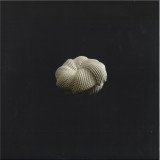 Onirico - Stolen Moments (30th Anniversary Edition)