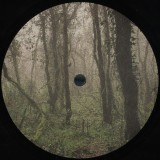 ORBE - EL BOSQUE DE LA NIEBLA
