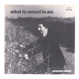 Jonathon Hansen / Jeff Silna - What Its Meant To Me / It's Always Something With You 7"