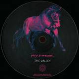 Troy Gunner - Masks/the Valley