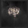 Editors - The Weight Of Your Love (deluxe)