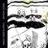 Basic House - Caim In Bird Form