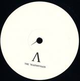 The Transhumans - Singularity Is Near - Theory And Practice Of Domination Vol. V. V