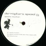 Dermaptera Special - Apache Mountain