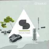 Stimming - Reflections 2x12"
