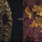 Adrian Rodd - Waves EP
