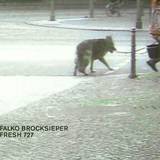 Falko Brocksieper - Fresh 727