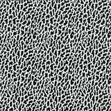 Voltique - Forward Naked
