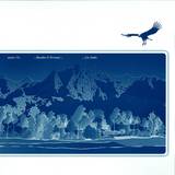 Rosselot & Ferrante - Los Andes