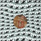 Todd Sines - Thick Satin *rmx*