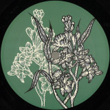 Anton Kubikov - Fièvre