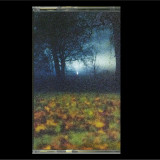 DEEP LEARNING - Soft Confidence