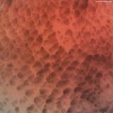 No Regular Play/ Cnnr - Cmm0001