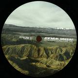 Asaf Avidan / Wankelmut - One Day / Reckoning Song (remix Ep)
