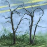 Daffo - Where the Earth Bends