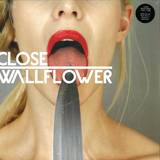 Close - Wallflower (feat. Fink)