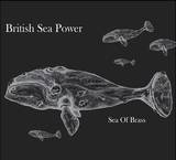 British Sea Power - Sea Of Brass