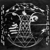 Galaxian X Stingray313 - Nu-1000