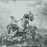 Absl - A Double Trachants