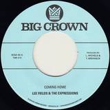 Lee Fields & The Expressions - Coming Home / Precious Love