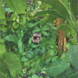 Mari Sekine - Beginning