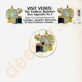 Visit Venus - The Endless Bummer Appendix 2