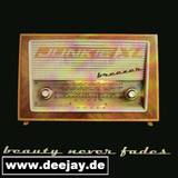 Junkie Xl - Breezer 2x12"