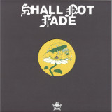 Tom Frankel - Pingers In A Field EP