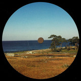 Back Yard Impressions - Back Yard Impressions