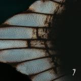 POST COMA - POST COMA