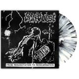 Convulse - From Resuscitation to Reincarnation
