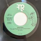 Penza Penza - The Least Possible Amount Of Responsibility / Under The Stone (7")