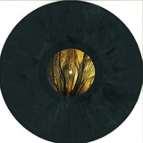 Re Us & Toby Holguin - Dead Flowers