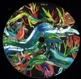 Silky Raven - Seychelles To Rave