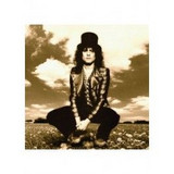 Marc Bolan - Skycloaked Lord ( .nof Precious Light)
