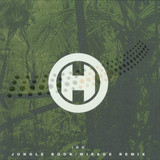 Ink & Perpetuum - Jungle Book/mirage
