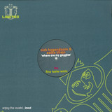 Nick Hogendoorn - Where Are My Goggles