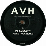 Armand Van Helden - Playmate / Flex