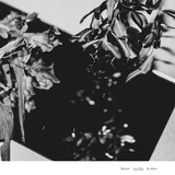 Lost Few - Between The Silence 2x12"