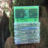 Pica - Psychedelic TechNoise