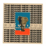 The BRAND NEW HEAVIES - TBNH (Ilija Rudman Mixes)
