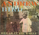 Andrew Bird - Break It Yourself