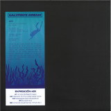 Richer - Expedición 431