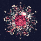 Spaced Out Family - Spaced Out Family Ep