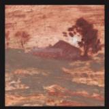 SHITS - Diet Of Worms LP