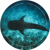 Jocelyn / Emmasoul / Chanwill Maconi / Neil Cb / Wade Watts - Pura Lempuyang Empat Part 2