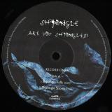 Shpongle - Are You Shpongled ? LP 3x12"