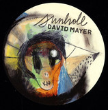 David Mayer - Sunhole / Lead
