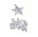 Stardub - Star_dub #8